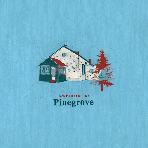 Pinegrove - Amperland, ny (CD)