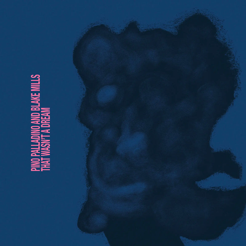 Pino Palladino and Blake Mills - That wasn&#039;t a dream (CD)