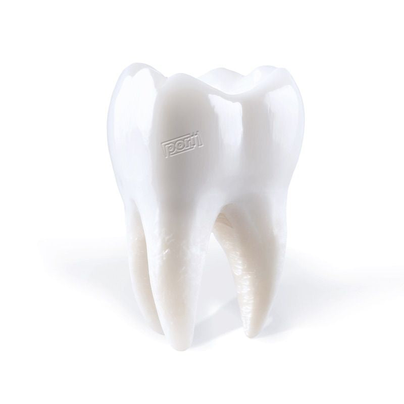 Porij - Teething (LP)