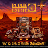 Public Enemy - What you gonna do when the grid goes down? (CD)