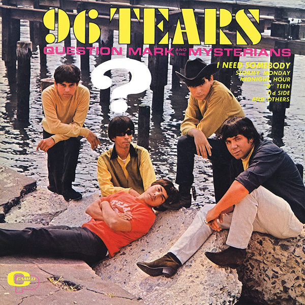 Question Mark and the Mysterians - 96 tears (LP)