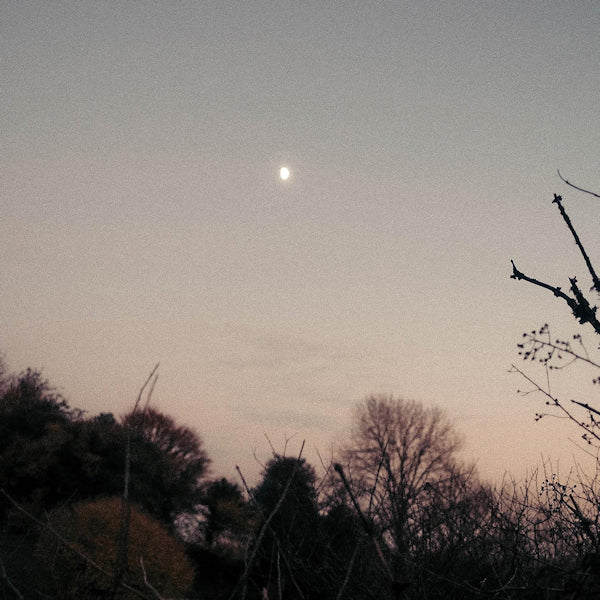 Rachel Sermanni - Dreamer awake (CD)