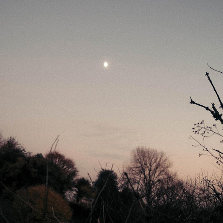 Rachel Sermanni - Dreamer awake (CD)