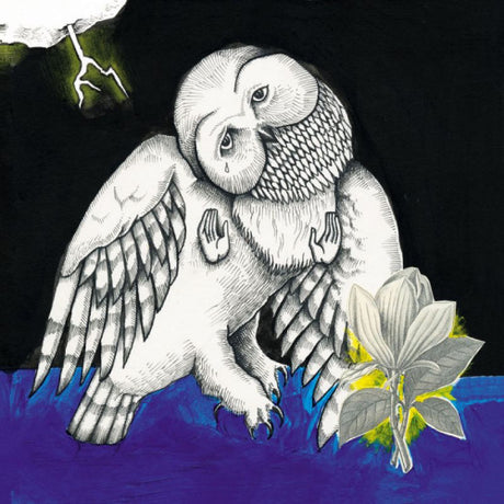 Songs: Ohia - Magnolia electric co (LP)