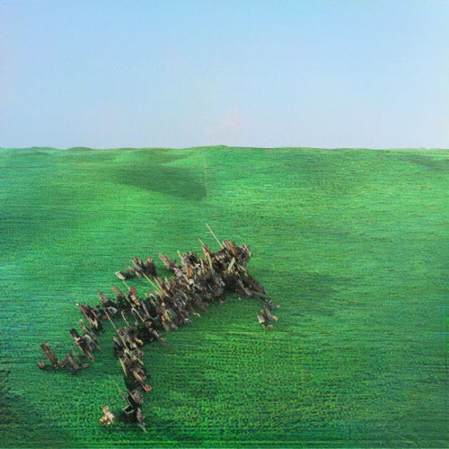 Squid - Bright green field (CD)