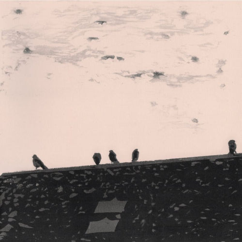 Stuart A. Staples - Arrhythmia (LP)