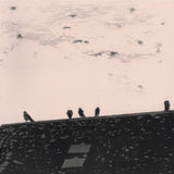 Stuart A. Staples - Arrhythmia (LP)