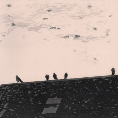 Stuart A. Staples - Arrhythmia (LP)