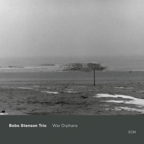 Bobo Stenson -trio- - War orphans (CD)