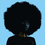 Sudan Archives - Sink (12-inch maxi single)