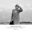 David Sylvian - A victim of stars 1982-2012 (CD)