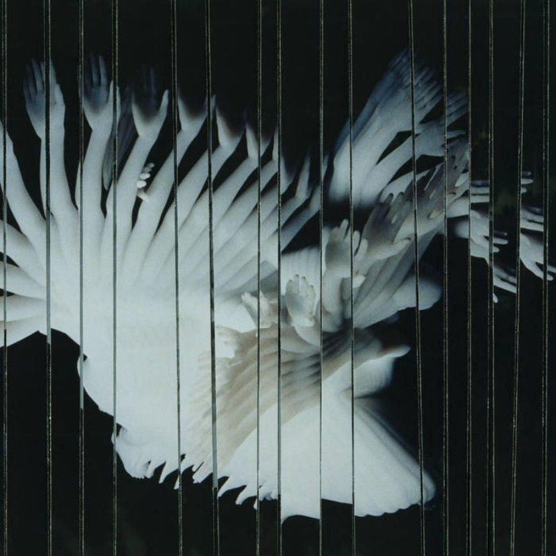 Scaler - Endlessly (CD)