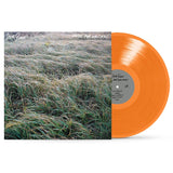 Steve Gunn - Music for writers (LP)