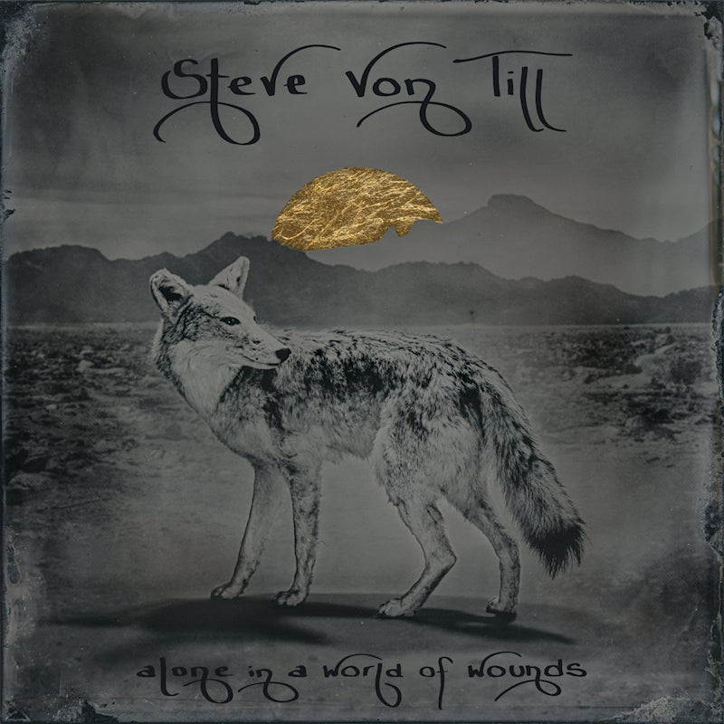 Steve Von Till - Alone in a world of wounds (CD)