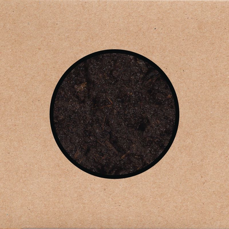 Swans - Birthing (CD)