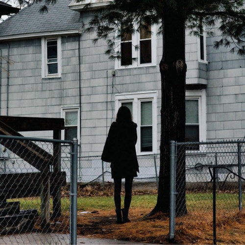 Tallest Man On Earth - Dark bird is home (LP) - Velvet Music
