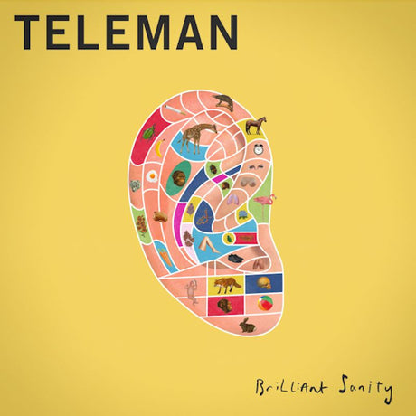 Teleman - Brilliant sanity (CD)