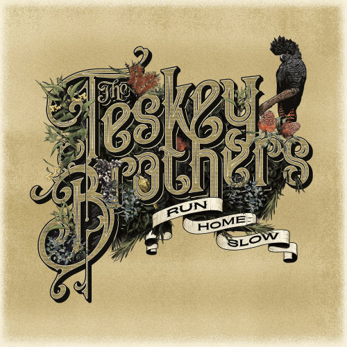 The Teskey Brothers - Run home slow (CD)