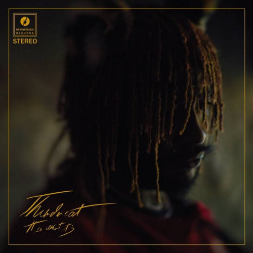 Thundercat - It is what it is (LP)
