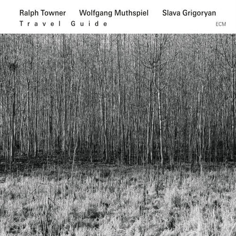 John Towner /wolfgang Muthspiel/slava Grigoryan - Travel guide (CD)
