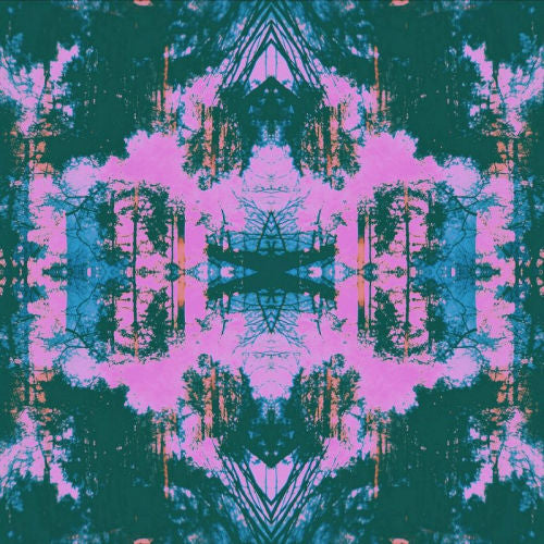 Tusks - Dissolve (CD)