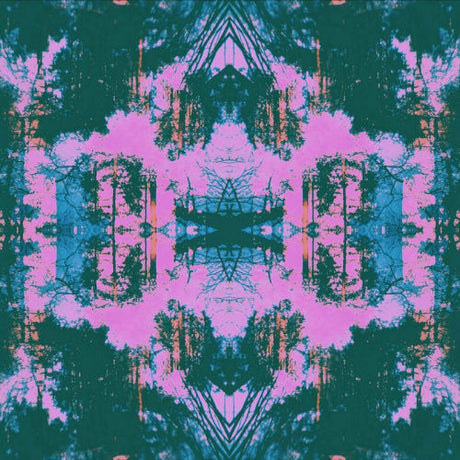 Tusks - Dissolve (CD)