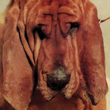 Ty Segall - Goodbye bread (CD)