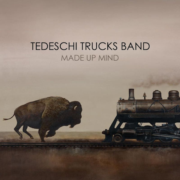 Tedeschi Trucks Band - Made up mind (LP)