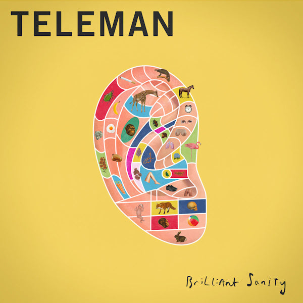 Teleman - Brilliant sanity (CD)