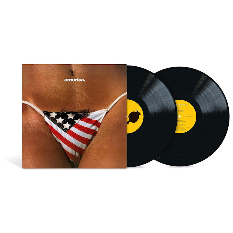 The Black Crowes - Amorica (LP)