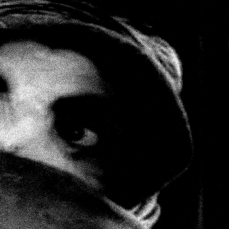 The Body - The crying out of things (LP)