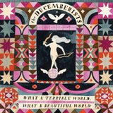 The Decemberists - What a terrible world, what a wonderful world (LP)
