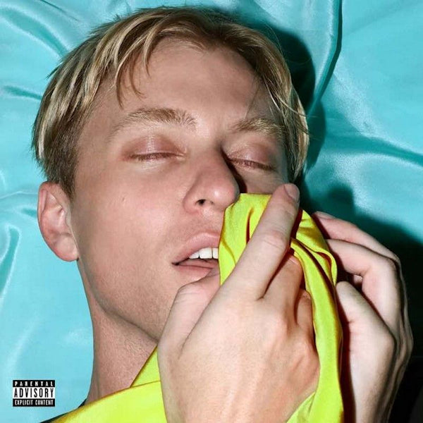 The Drums - Brutalism (LP)