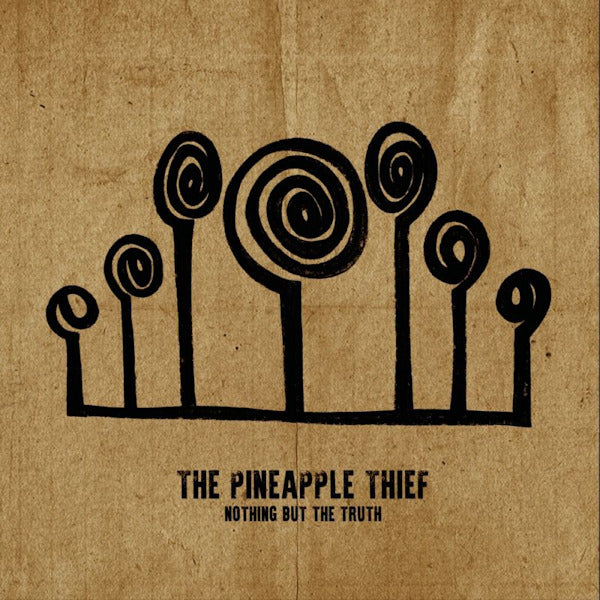 Pineapple Thief - Nothing but the truth -gatefold- (LP)