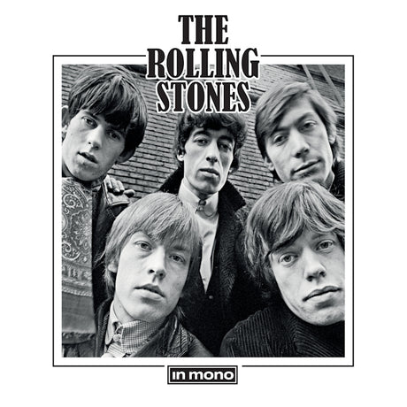 the Rolling Stones - The rolling stones in mono (LP)