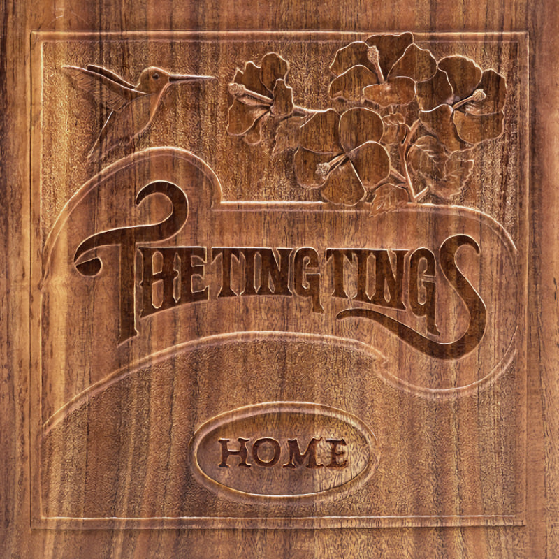 The Ting Tings - Home (CD)