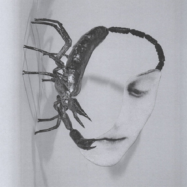 Tortoise - Touch (LP)