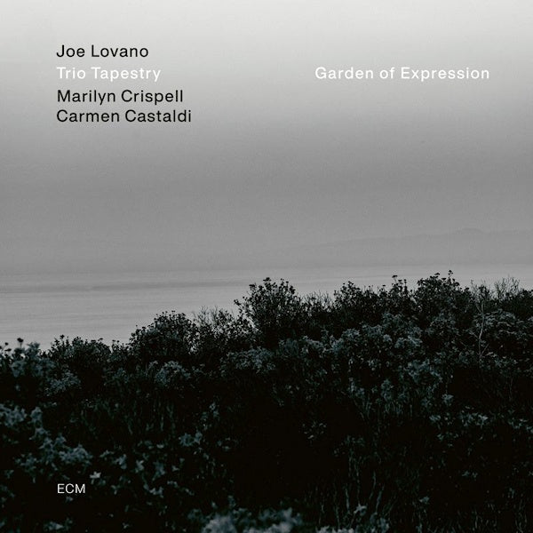 Joe Lovano -trio Tapestry- - Garden of expression (LP)