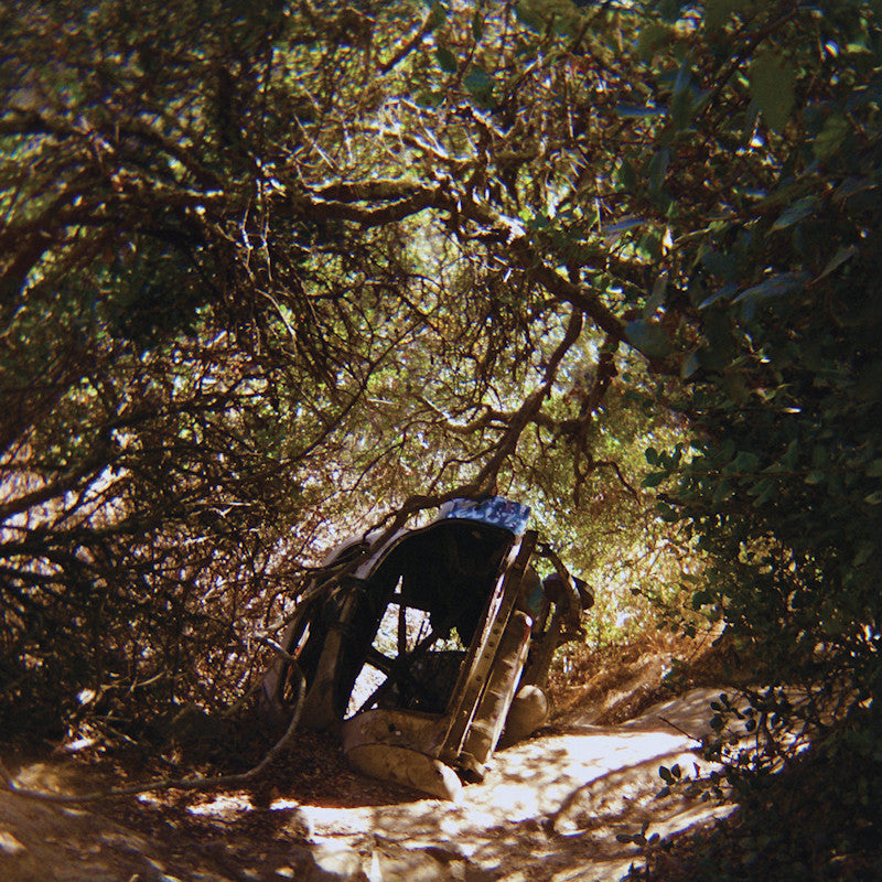 Ty Segall - Possession (CD)