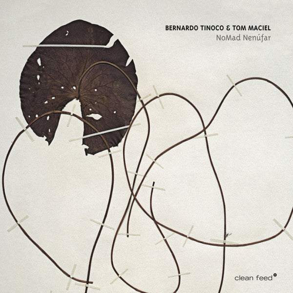 Bernardo Tinoco, Tom Maciel - NoMad Nenúfar (tweedehands CD)