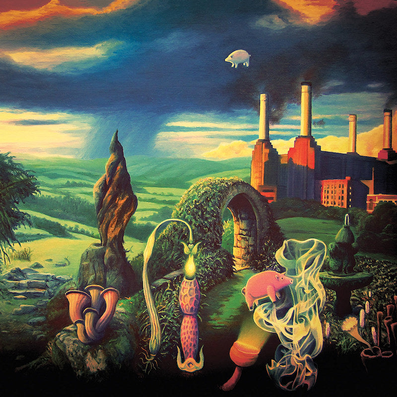 Pink Floyd - Animals reimagined: tribute to pink floyd (LP)