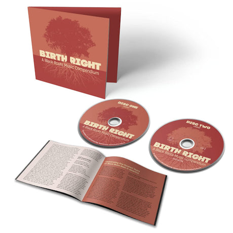V/A (Various Artists) - Birthright: a black roots music compendium (CD)