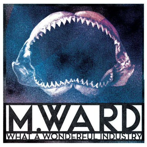 M. Ward - What a wonderful industry (LP)