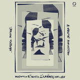 Matthew E. White /lonnie Holley - Broken mirror: a selfie reflection (LP)