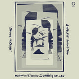 Matthew E. White /lonnie Holley - Broken mirror: a selfie reflection (LP)