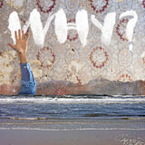 Why - Moh lhean (LP)