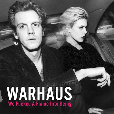 Warhaus - We fucked a flame into being (LP) - Velvet Music
