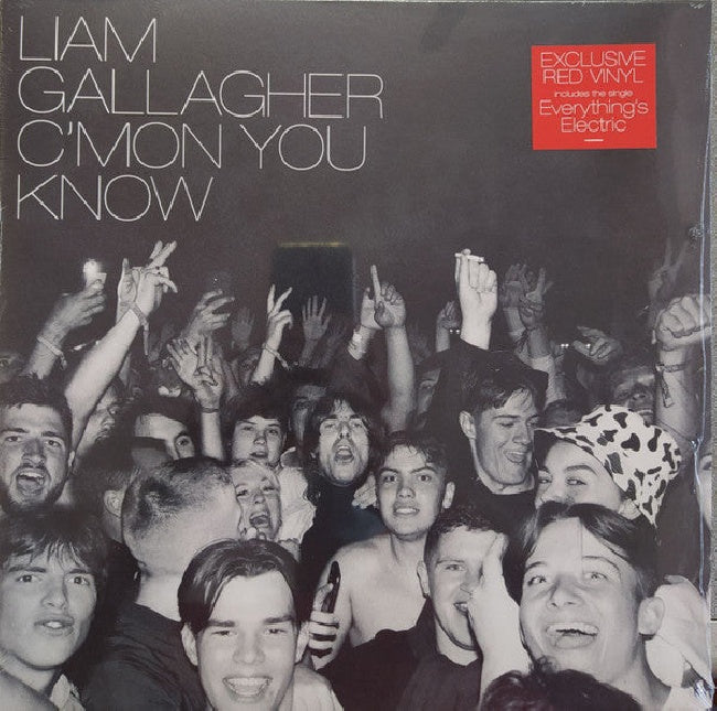Gallagher.liam - C mon you know (LP)