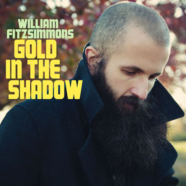 William Fitzsimmons - Gold in the Shadow (LP)