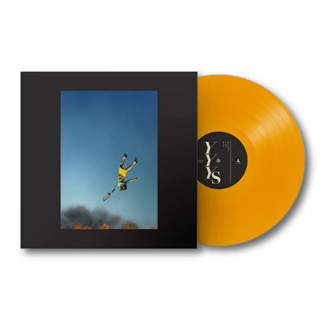 Yeah Yeah Yeahs - Cool it down (LP)